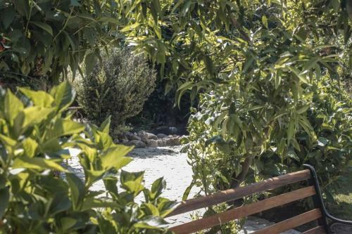 Casa de F�rias C/piscina - Viseu