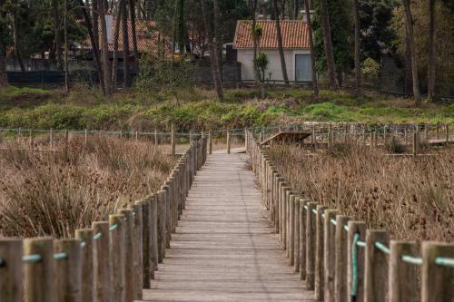 Bungalow B2 - Nature, Beach & River