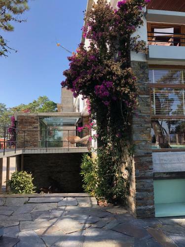 Bungalow B2 - Nature, Beach & River