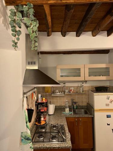 Apartamento Le Parole Del Gatto