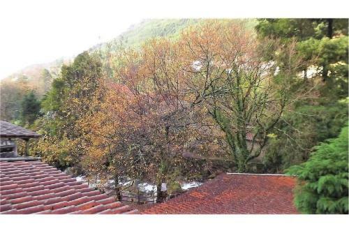 Ger�s River - Apartment In Nature