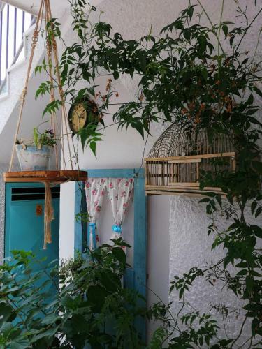 Tea House Ger�s - T1 Hiperic�o