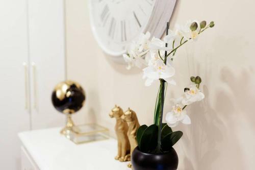 Apartamento Beauty Flat Gaia Center
