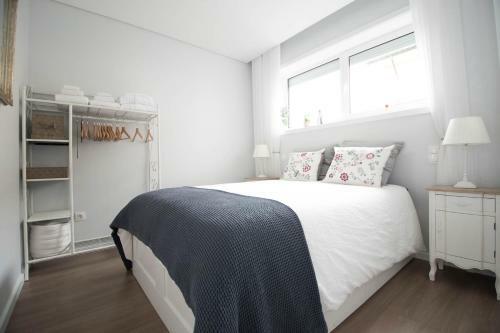 Apartamento Shelter 532