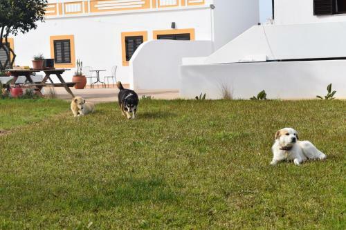 Quinta David