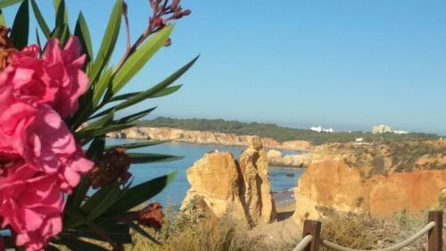 Apartamento Albur Village B - Lotus
