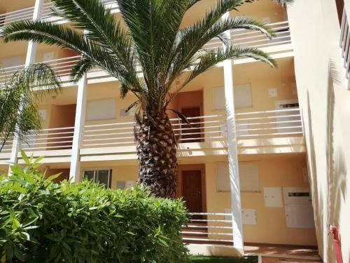 Apartamento Amoreira Alvor - Praia E Piscina