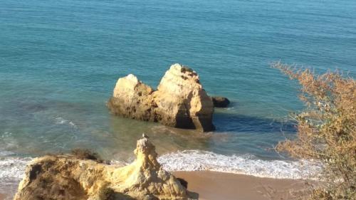 Apartamento Albur Village B - Hyacinth