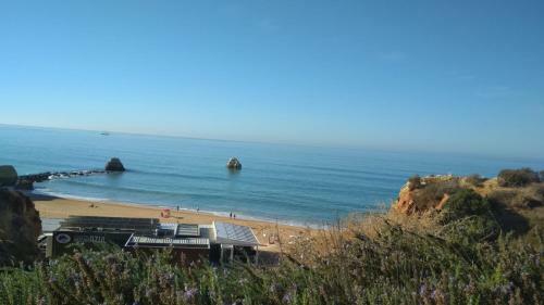 Apartamento Albur Village B - Dandelion