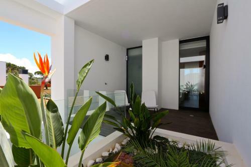 Villa Pinheiro - Clever Details