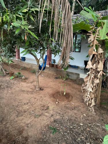 Hostal Radz Home Stay