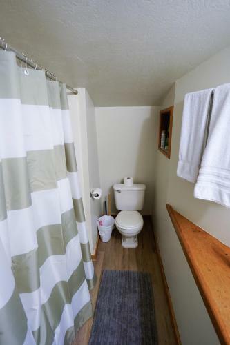 Charming Downtown Driggs Apartment
