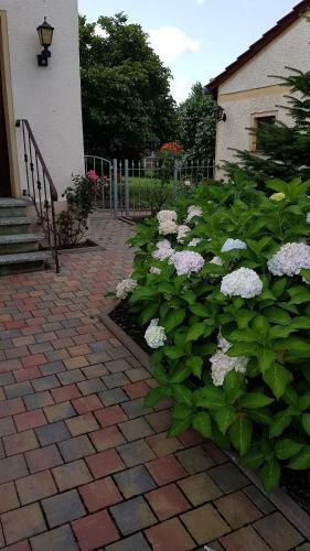 Apartamento Ferienwohnung2 Grimma