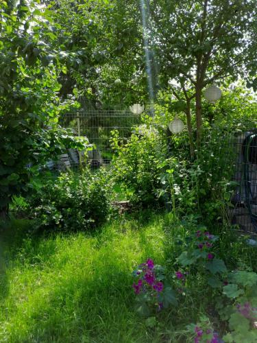 Apartamento G�stewohnung Am Th�mmlitzwald