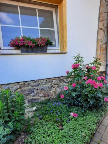 Apartamento G�stewohnung Am Th�mmlitzwald