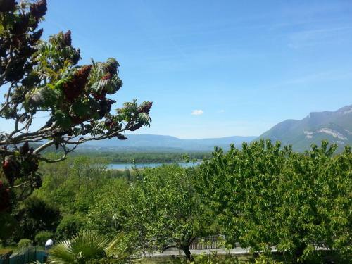 Bed & Breakfast Le Belvue