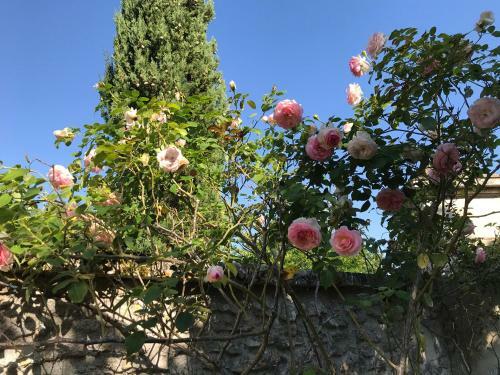 Bed & Breakfast La Laiterie Du Logis