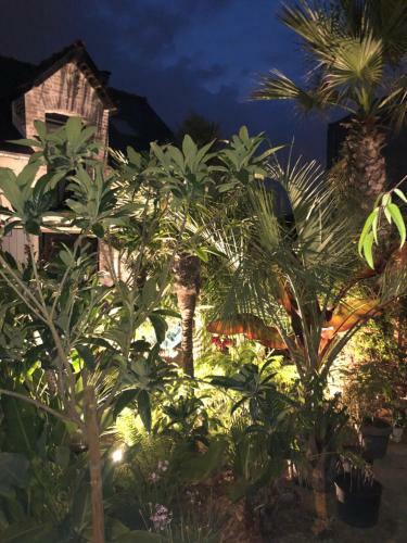 La Petite Maison Dans La Jungle