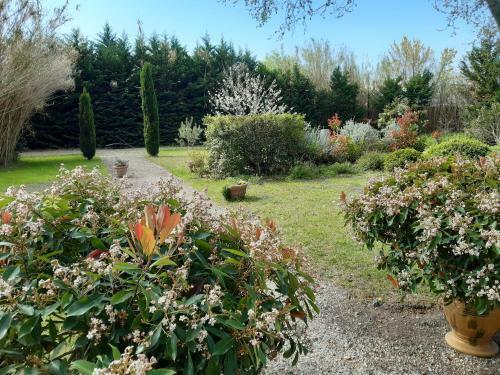 Chambre D'h�tes Dans Mas Pr�s D'avignon