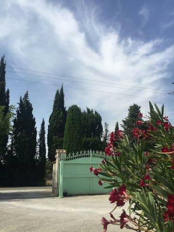 Villa Neville