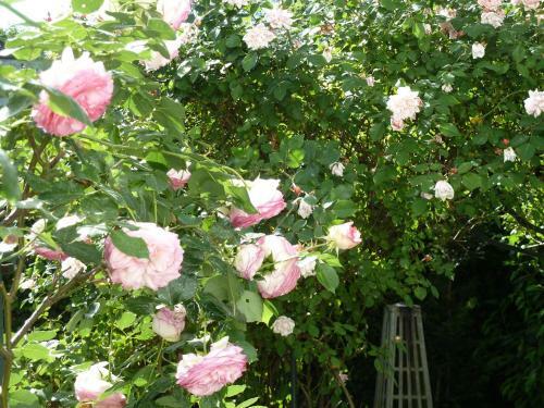Bed & Breakfast Le Clos Des Princes