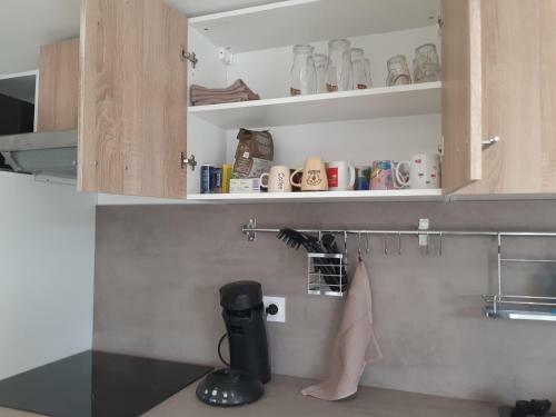 Les Ch�tillonnes