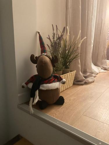 Apartamento Casa Viola
