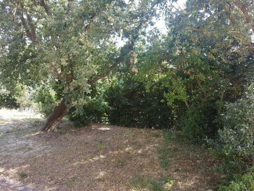 Apartamento La Bellana