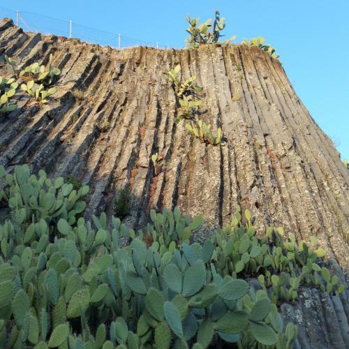 Bed & Breakfast L'agrifoglio Di Emy