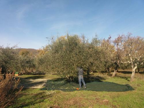 Borgo San Michele Incisa Tuscany