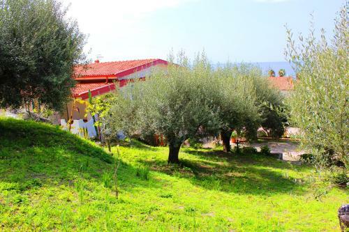 Villa Clara