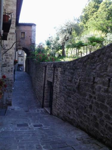 Apartamento Galeotti 18