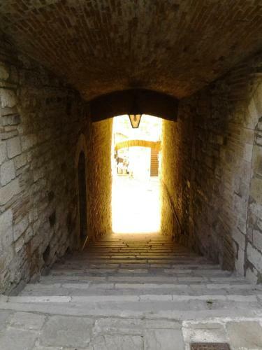 Apartamento Galeotti 18