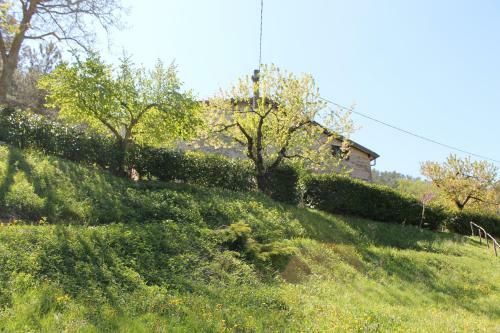B&B Paradiso