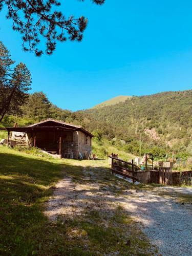 B&B Paradiso