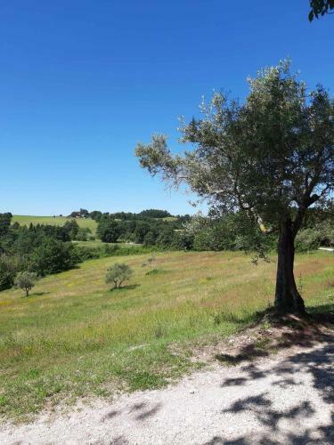 Agroturismo Agriturismo Montesalce