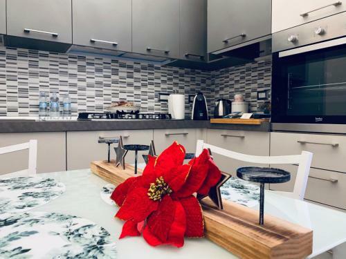 Apartamento Palazzo Elisei