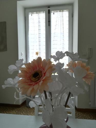 Apartamento In Vacanza A Itri - Casa Ileana