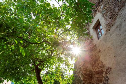 Apartamento Historic Homes Zafig