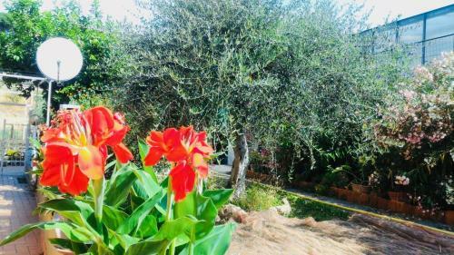 Villa Anna Regione Bussi 57 Imperia