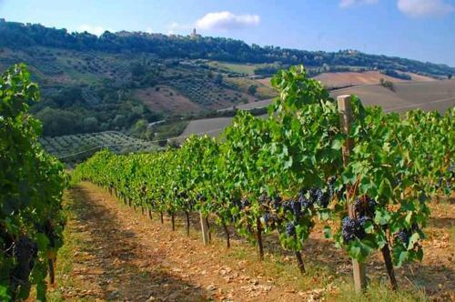 B&B Antiche Mura Di Lapedona