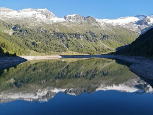 Apartamento Appartement Sonneck