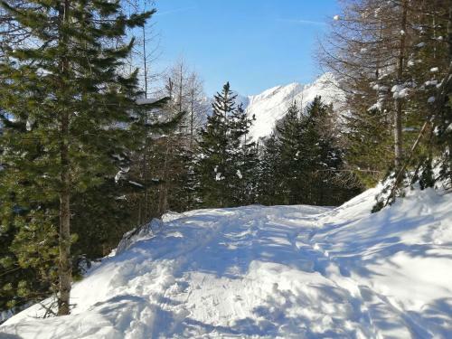 Apartamento Appartement Sonneck