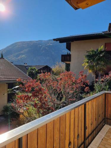 Apartamento Appartments Elke