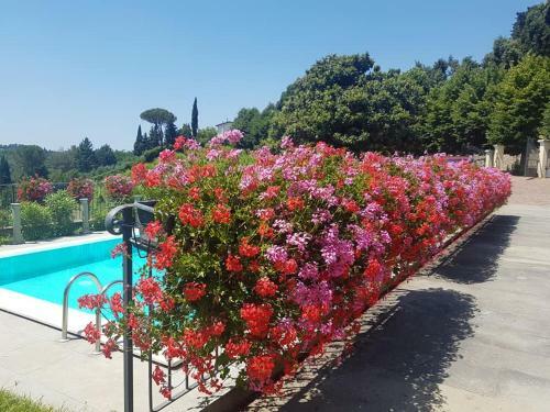 Apartamento Residence Il Vigneto