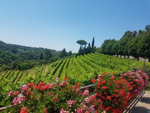 Apartamento Residence Il Vigneto