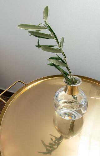 Aparthotel Goldfinger + Suites