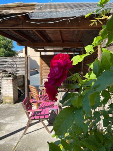 Apartamento Ansitz Thalerhof