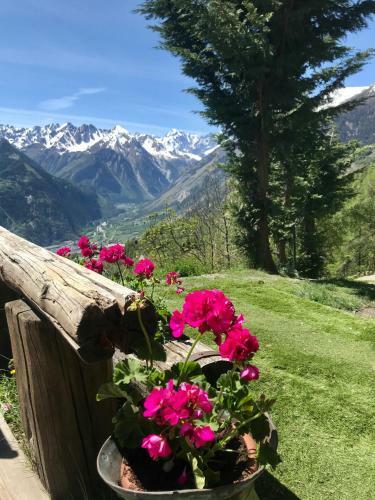 Bed & Breakfast Chalet La Beyllard