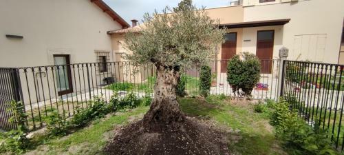Bed & Breakfast San Marciano Luxury Rooms